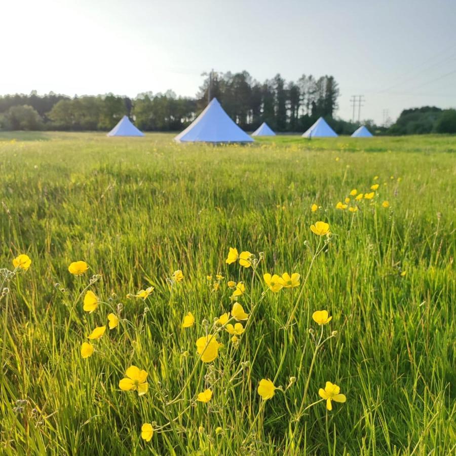 Hotel Dorset Glamping Fields à Corfe Mullen Extérieur photo